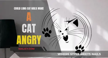 Cat Anger: The Role of Long Nails