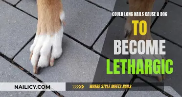 Long Nails: Making Dogs Lethargic?