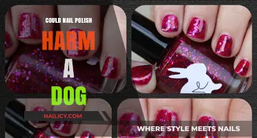 Nail Polish and Dogs: Potential Risks and Safety Tips