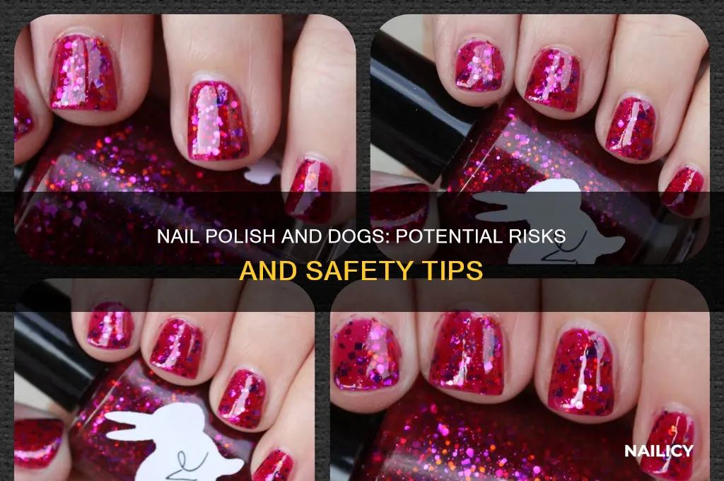 could nail polish harm a dog
