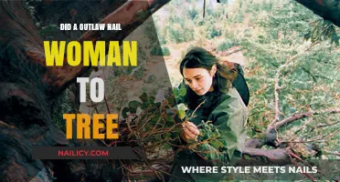 Outlaw's Cruel Act: Woman Nailed to Tree – Fact or Fiction?