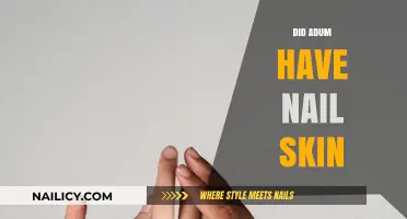 Exploring the Myth: Did Adum Really Have Nail Skin?