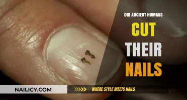 How Ancient Humans Maintained Their Nails
