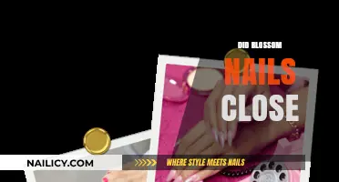 Did Blossom Nails Close? Unraveling the Mystery Behind the Shutdown