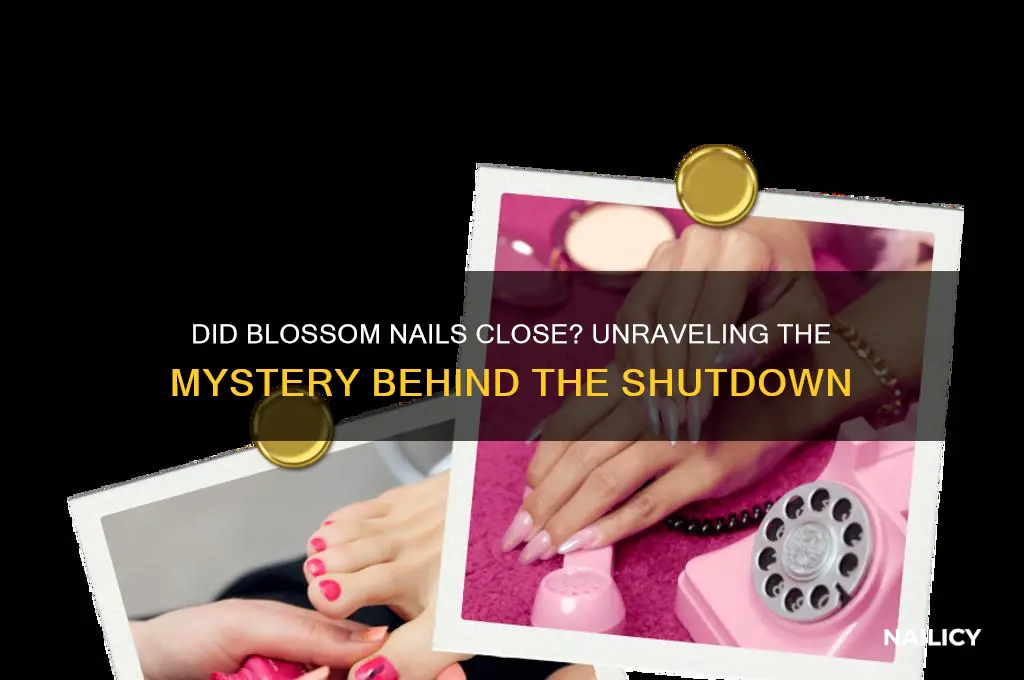 did blossom nails close