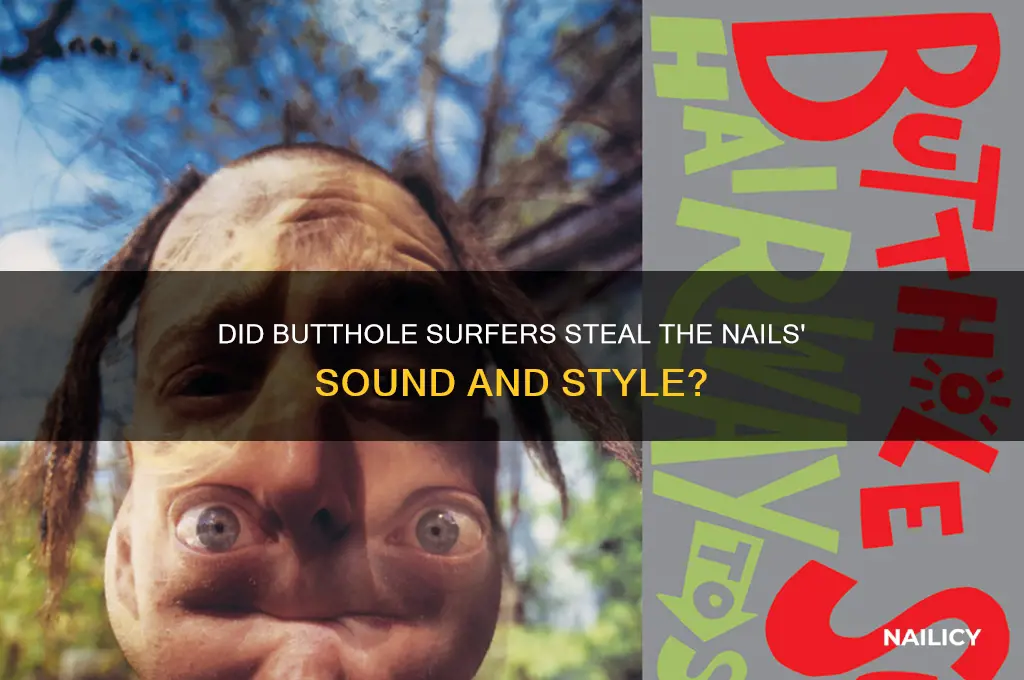 did butthole surfers steal from the nails