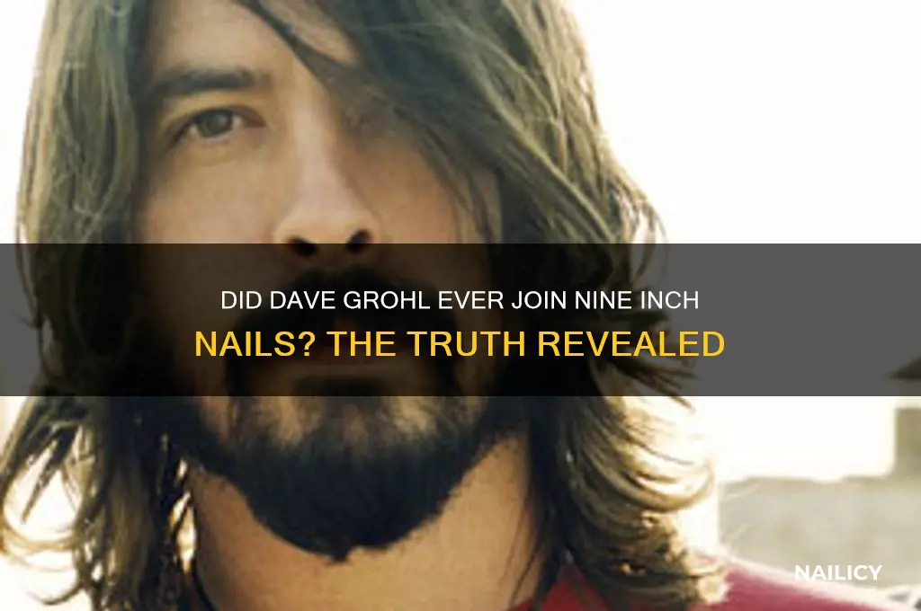 did dave grohl play in nine inch nails