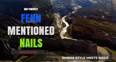 Forrest Fenn's Treasure Hunt: Uncovering the Mystery of Nails Mentioned