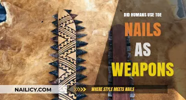 Ancient Arsenal: The Surprising Use of Toenails as Weapons