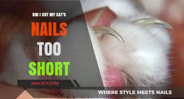 Cat Claw Clipping: What's Too Short?