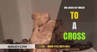 Crucifixion Controversy: Examining the Historical Evidence of Jesus' Execution