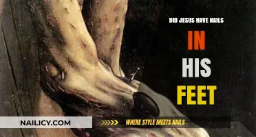 Jesus' Crucifixion: Examining the Evidence of Nails in His Feet