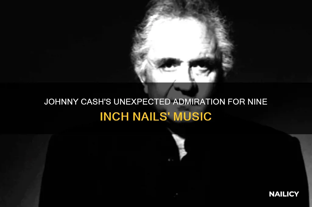 did johnny cash like nine inch nails
