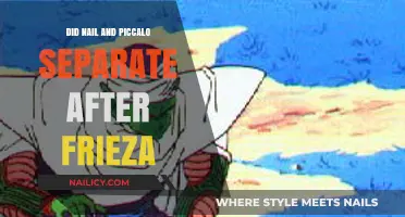 Nail and Piccolo's Fate: Post-Frieza Saga Explored