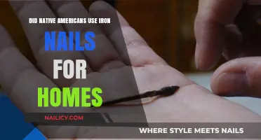 Exploring Native American Construction: Iron Nails in Traditional Homes?