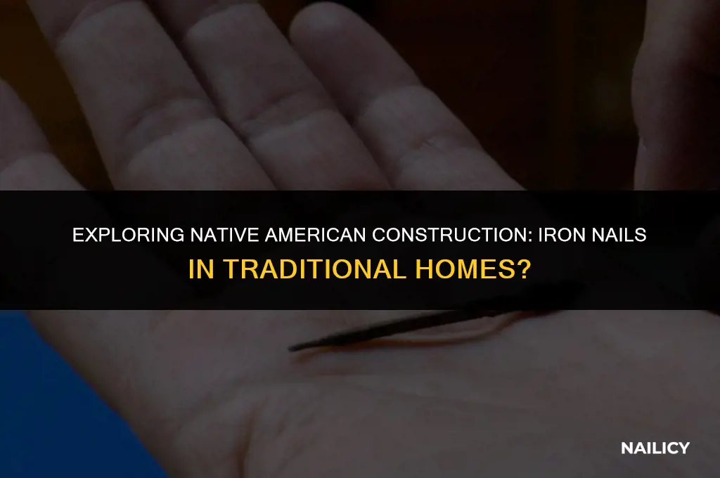 did native americans use iron nails for homes
