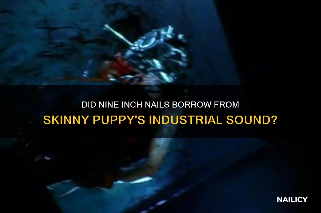 did nine inch nails copy skinny puppy