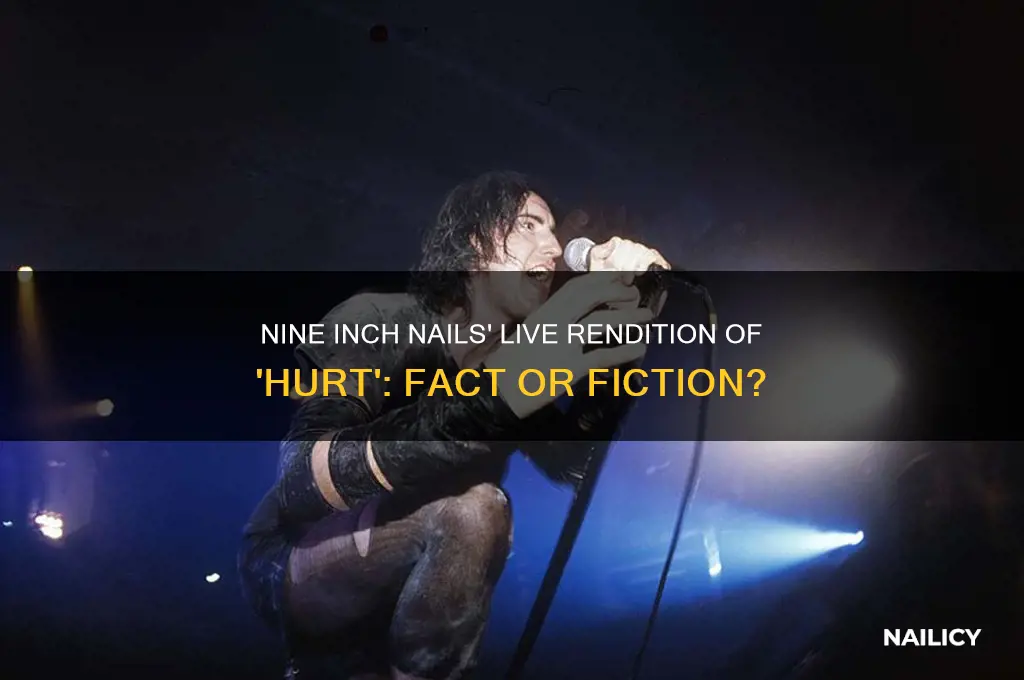 did nine inch nails play hurt live