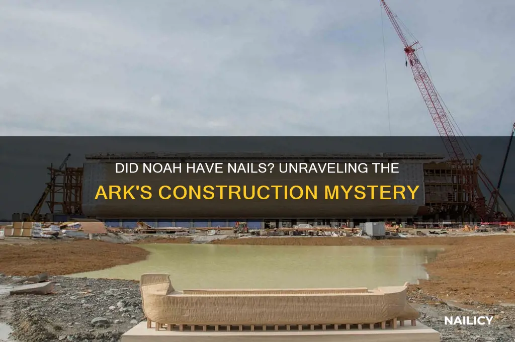 did noah have nails