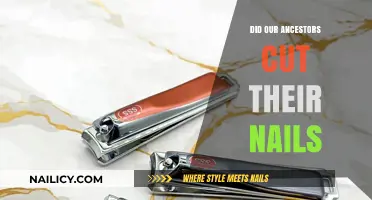 How Did Our Ancestors Cut Their Nails?