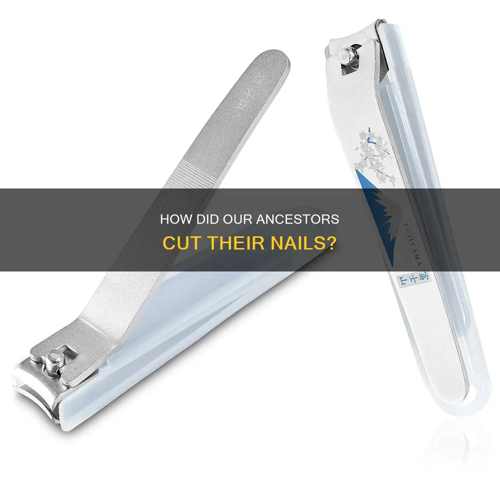 did our ancestors cut their nails