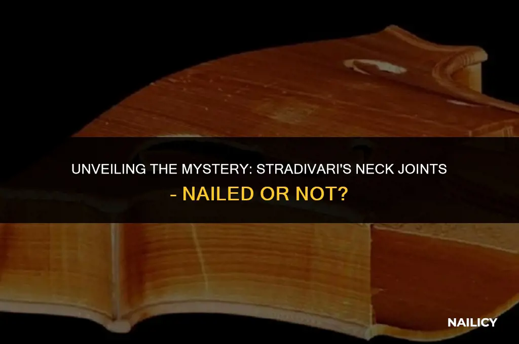 did stradivari ever use nails for his neck joints