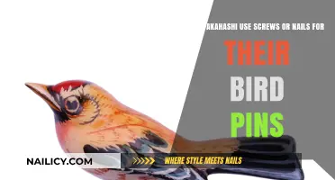 Takahashi's Bird Pins: The Debate Over Screws vs. Nails