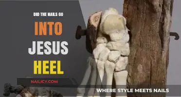 Did Nails Pierce Jesus' Heels? Examining Crucifixion Historical Accuracy