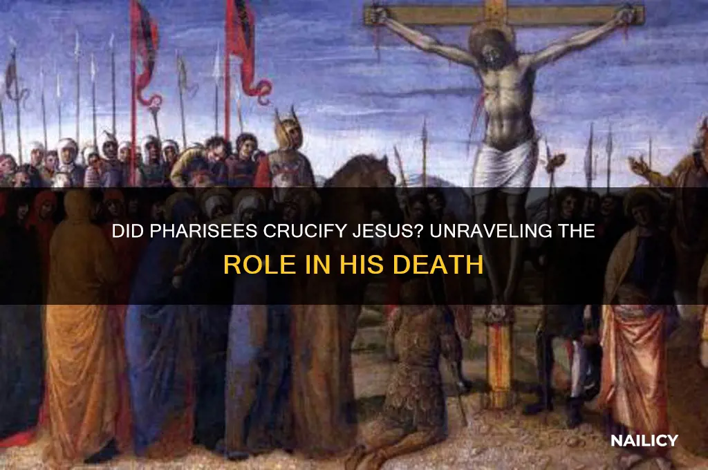 did the pharisees nail jesus to the cros