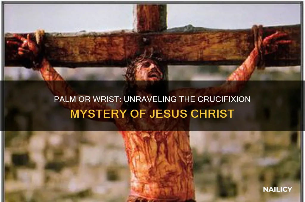 did they nailed jesus palm or wrist