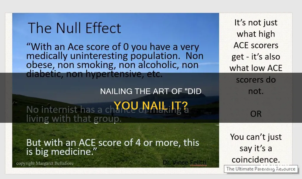 did you nail it meaning