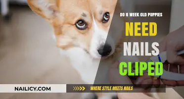 Puppy Nail Care: Should You Trim an 8-Week-Old’s Claws?