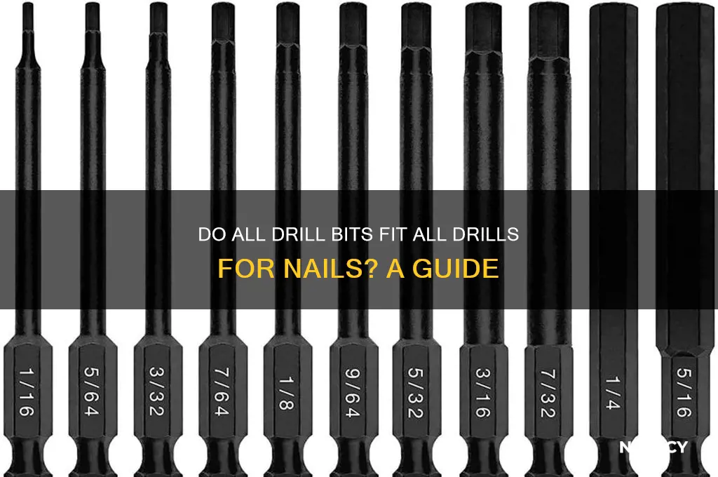 do all drill bits fit all drills nails