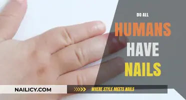 Do All Humans Have Nails? Uncovering the Truth About Fingertips