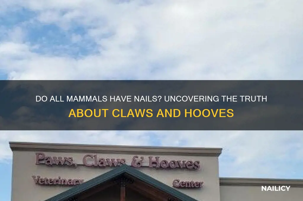 do all mammals have nails
