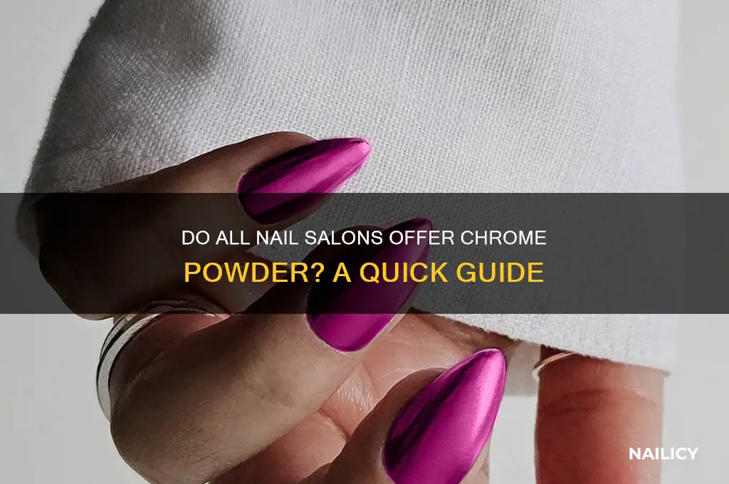 do all nail salons have chrome powder