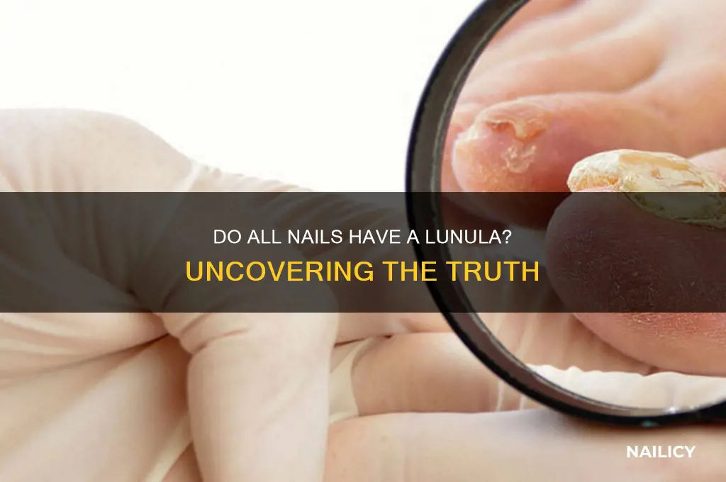 do all nails have lunula