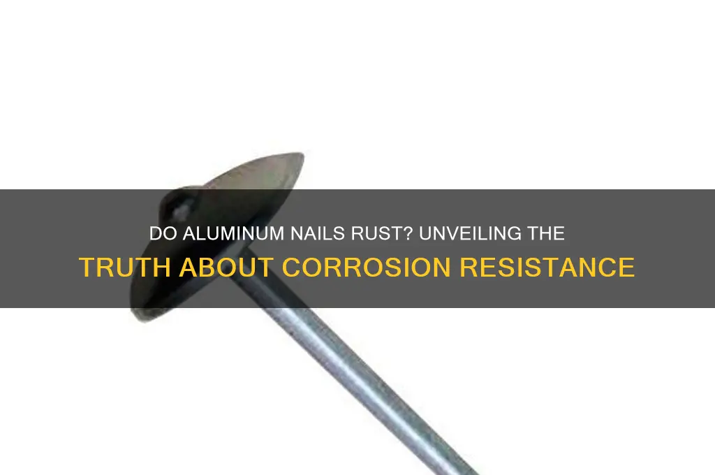 do aluminum nails rust
