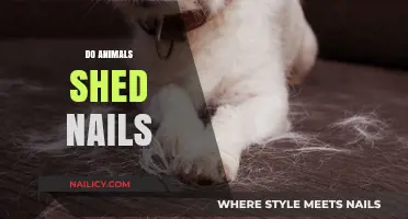 Do Animals Shed Nails? Uncovering the Truth About Claw Growth