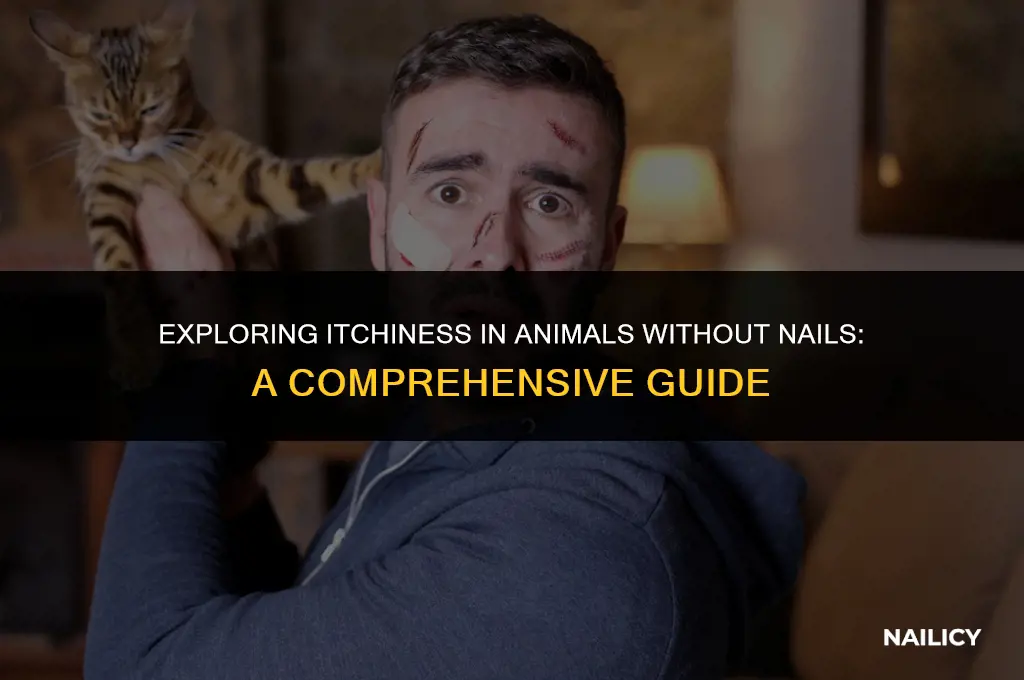 do animals without nails get itchy