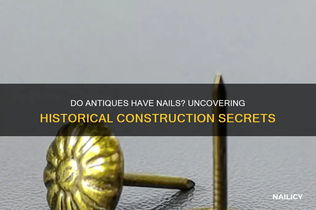 do antiqus have nails