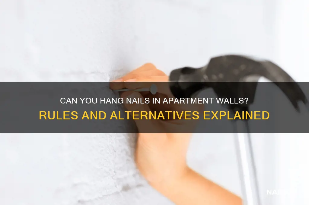 do apwrtment complexes allow nails in walls
