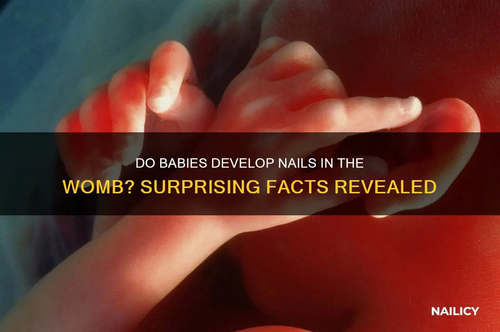 do babies have nails in the womb