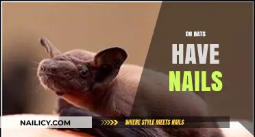 Do Bats Have Nails? Unveiling the Truth About Their Unique Anatomy