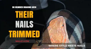 Bearded Dragon Nail Care: Trimming and Maintenance Tips