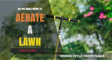 Big Nails for Lawn Aeration: Effective Solution or Myth?