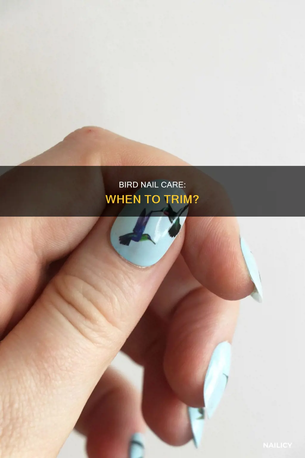 do birds need their nails cut