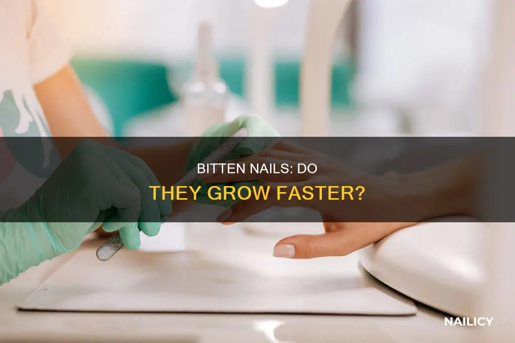 do bitten nails grow faster