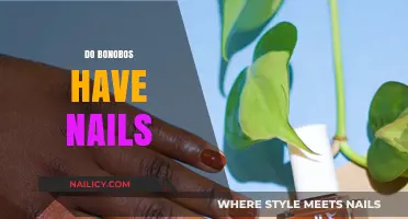 Bonobos' Unique Hands: Exploring Their Nails and Digit Adaptations