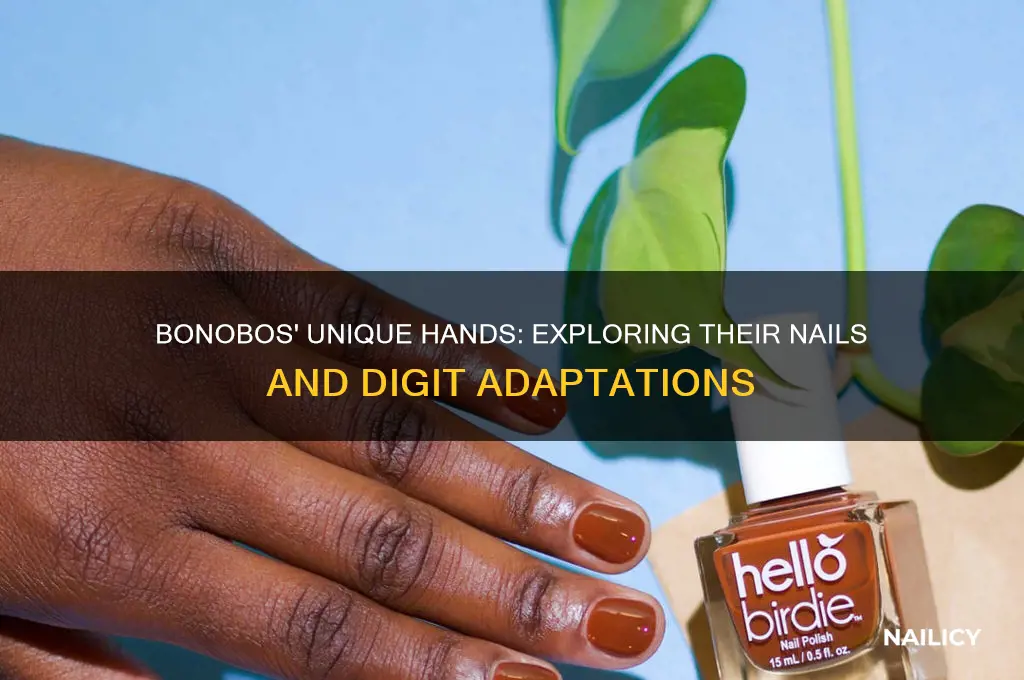 do bonobos have nails